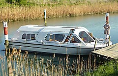 Lexur 31